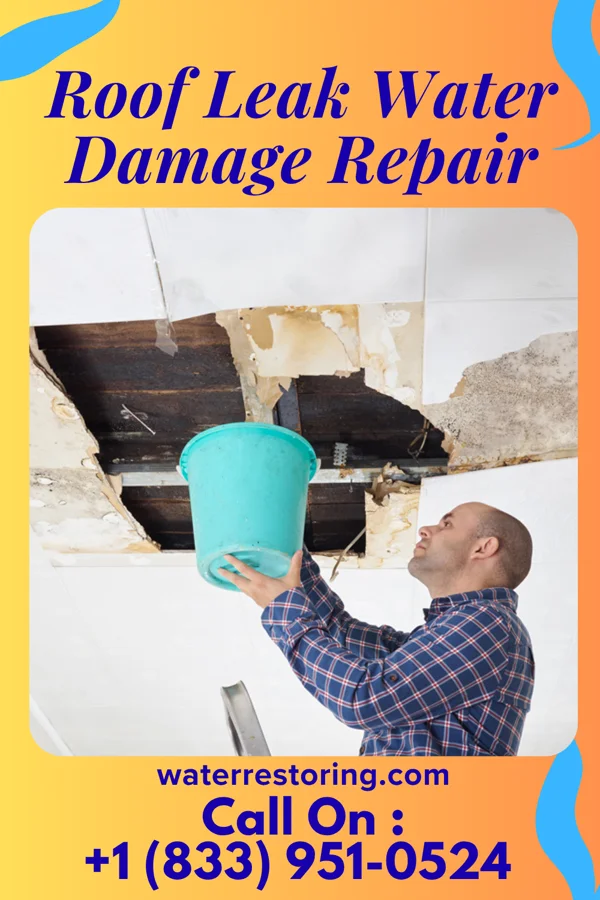 Roof Leak Water Damage Repair in Clarksville, TN