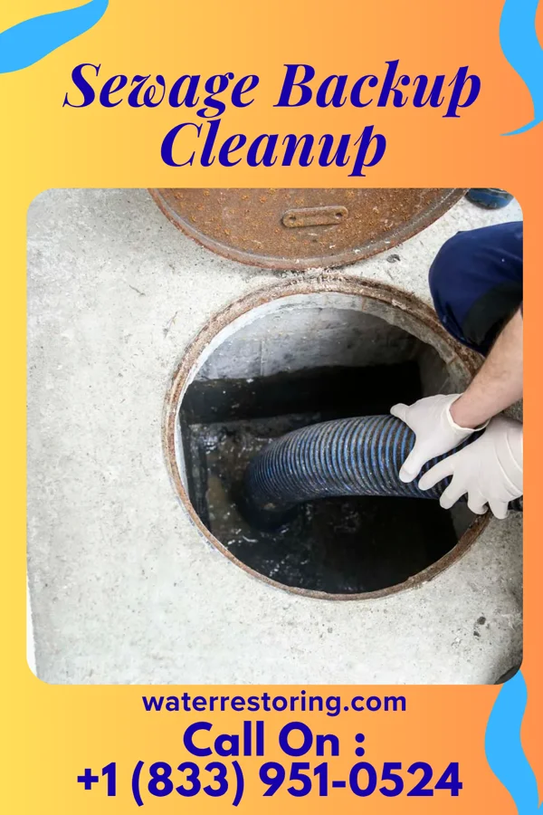 Sewage Backup Cleanup in Clarksville, TN