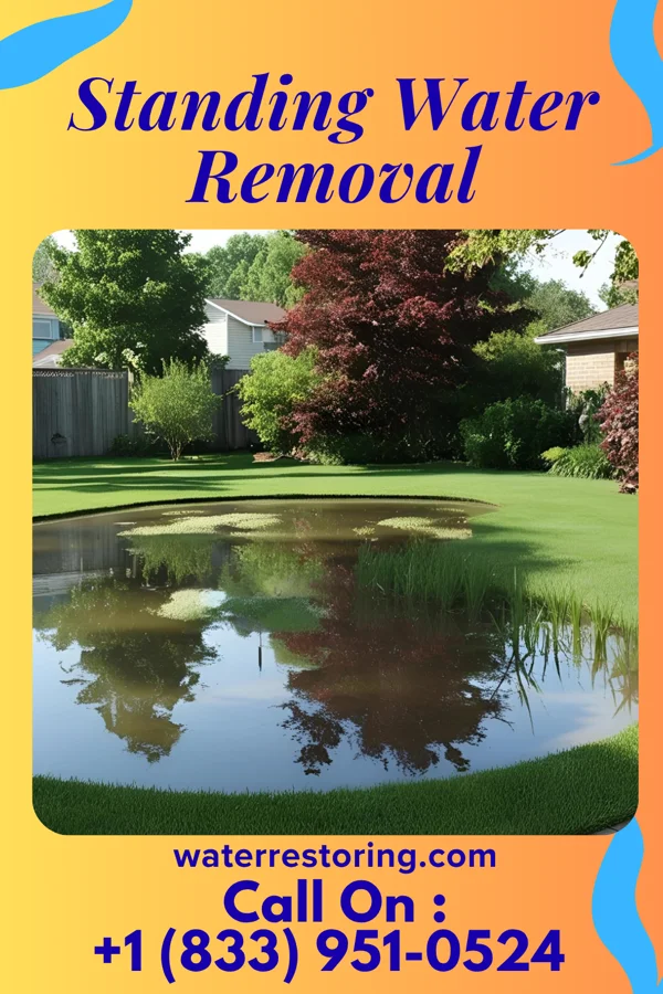 Standing Water Removal in Clarksville, TN